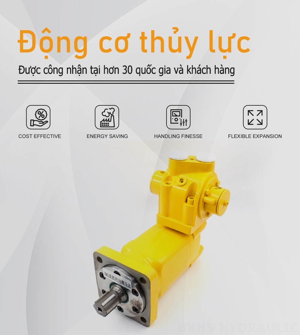 Mô-tơ van lái thuyền đánh cá BM5 130 cc/vòng 75 L/phút Mô tơ thủy lực